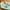 Mint Green, variant on Todaioua Large Cat Litter Box with High Sides, Open Kitty Litter Boxes Anti-Splashing for Indoor Cat Low Entry Cat Litter Pan for Small and Elderly Cats, Easy to Clean, 16” x 11.4” x 5.7”
