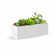 thumbnail image 1 of Maceta Rectangular Jara 61 x 20 cm Blanca de Plástico con Drenaje para Plantas, 1 of 6