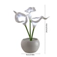 thumbnail image 3 of Artificial Calla Lily LED Night Lamp with White Vase,Simulation Flower Bedside Table Lamp for Bedroom,Living Room,Home Desktop Decor, 3 of 6