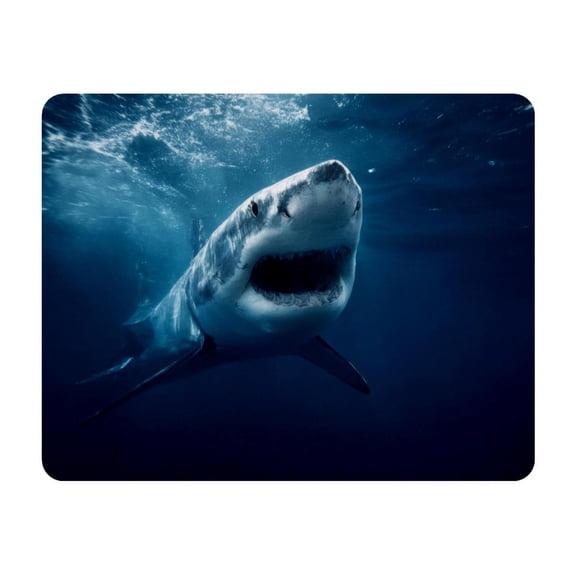 Small Mouse Pad Desk Pad, Office Mouse Mat Non-Slip Rubber Base, Mousepad for Computer Laptop 28x22cm,Fierce Sea Shark