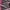 PINK AND GRAY, variant on Snowbank Big Kids' Snow Boot