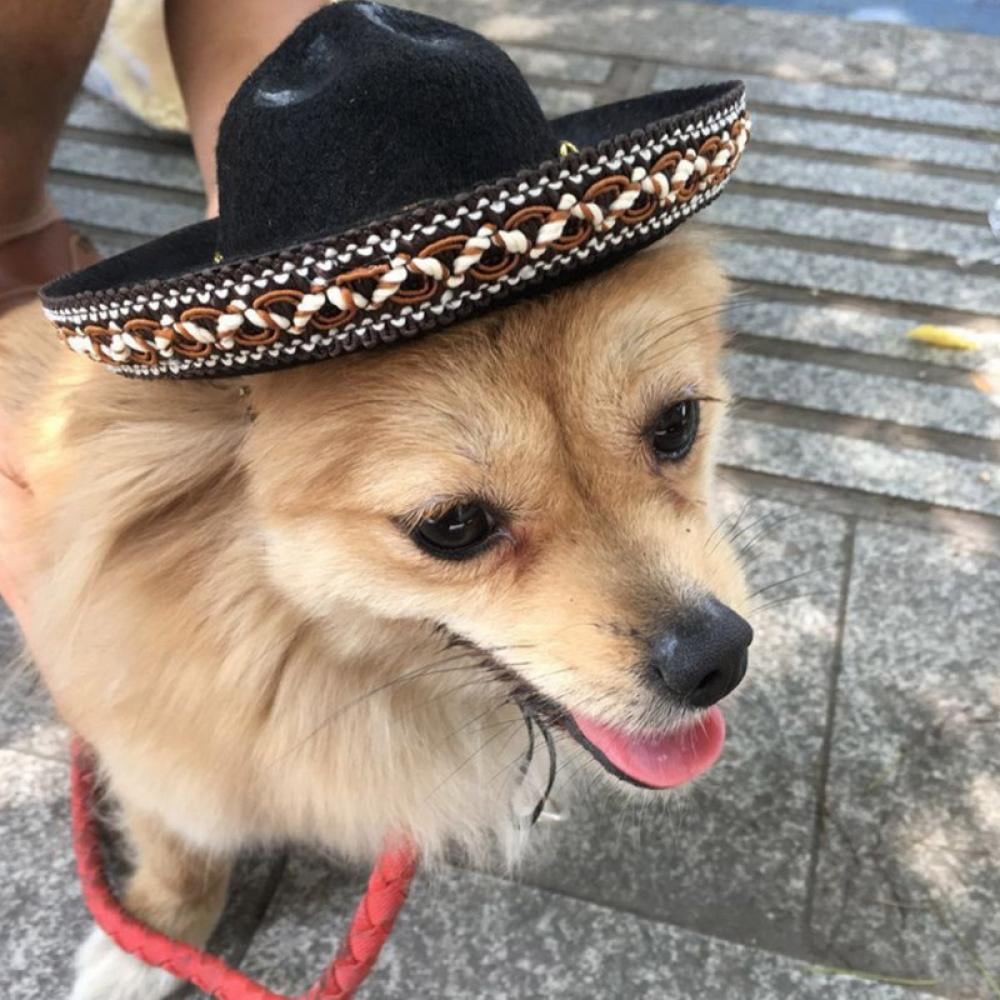 CHDHALTD Dog Sombrero Hat,Adjustable Chihuahua Cosplay Cap,Mini Straw Sombrero Hats,Fashion Dog Sombrero Hat Cap for Pet Cat Puppy Dog,Mexican Party Costume Clothes Decoration for Pets