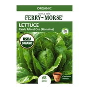 Ferry-Morse Organic Lettuce Parris Island Cos (Romaine) Plant Seeds (1 Pack) - Seed Gardening, Full Sun