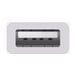 Apple USB-C to USB Adapter