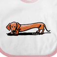 thumbnail image 4 of Inktastic Little Red Doxie Boys or Girls Baby Bib, 4 of 4