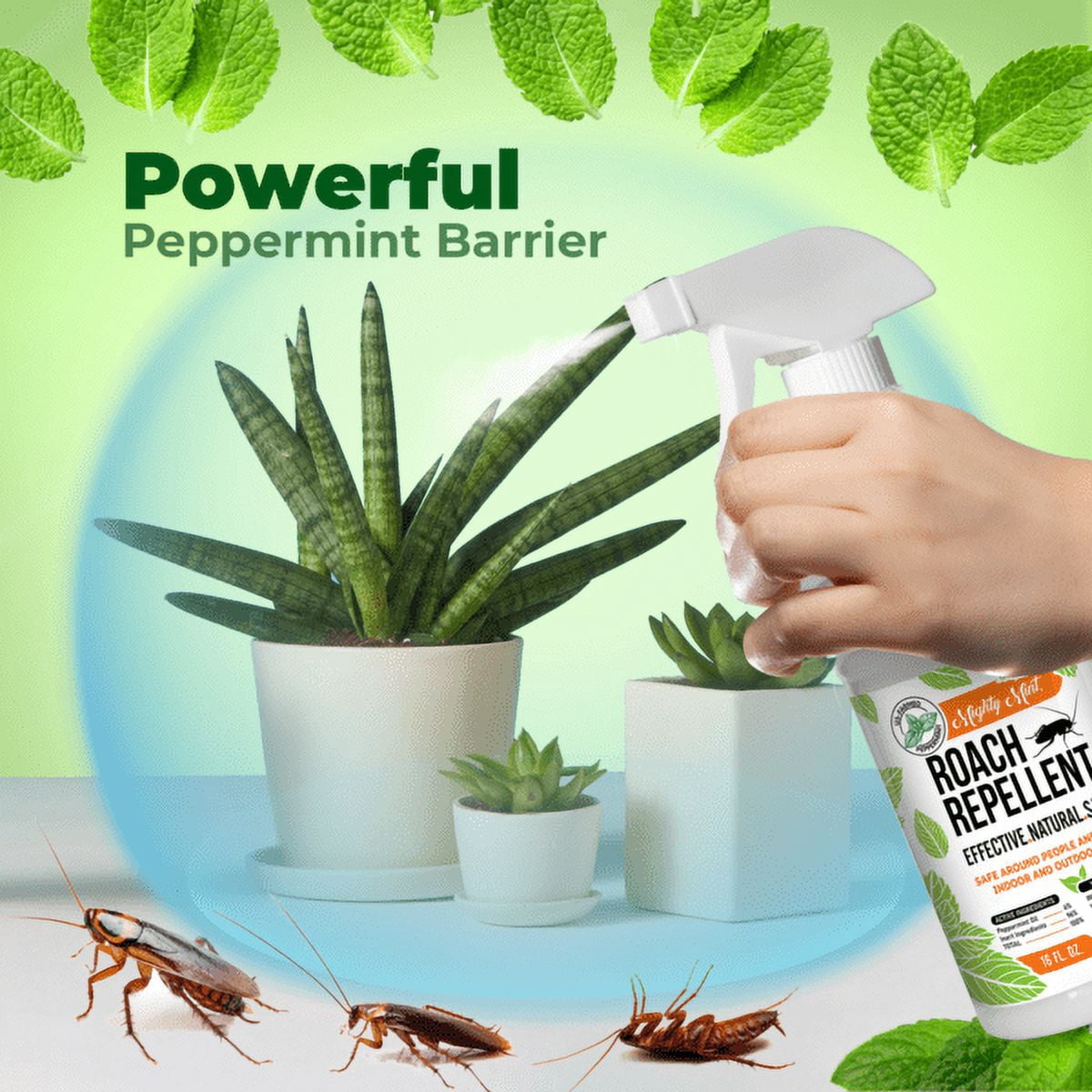 Mighty Mint 16oz Cockroach Repellent Peppermint Oil Spray - Natural Roach Killer + Deterrent