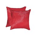 thumbnail image 1 of TORINO COWHIDE PILLOW 18"X18" 2-PACK, 1 of 1