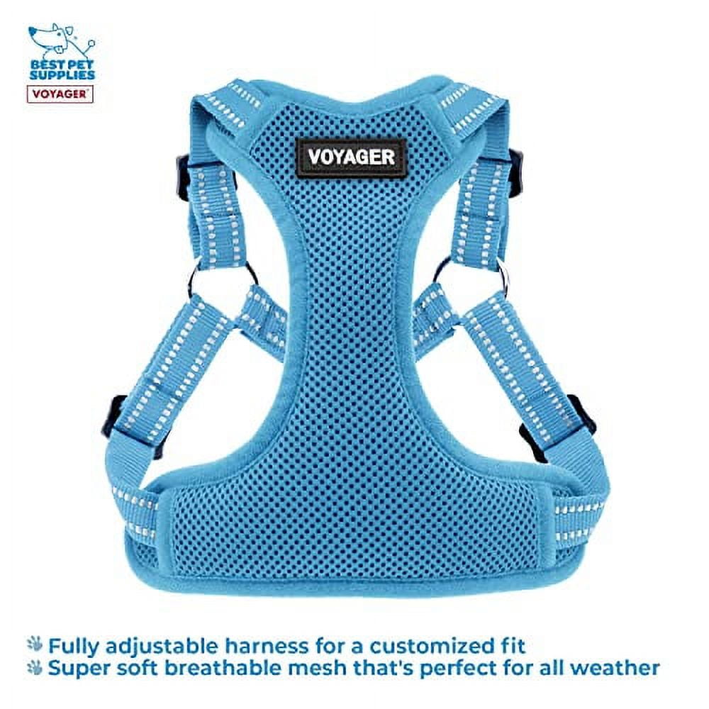 Best Pet Supplies Voyager Adjustable Dog Harness Leash Set with Reflective Stripes for Walking Heavy-Duty Full Body No Pull Vest with Leash D-Ring, Breathable All-Weather - Harness (Baby Blue), L