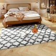 thumbnail image 4 of Softlife Fluffy Moroccan Kid Rug for Girl Room Super Soft for Bedroom Velvet Plush Carpets Shag Area Rugs for Living Room Decor,4' x 6',White/Black, 4 of 7