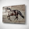 thumbnail image 2 of Epic Art 'Trakehner Horse 2' by Irena Orlov, Acrylic Glass Wall Art, 24"x16", 2 of 3