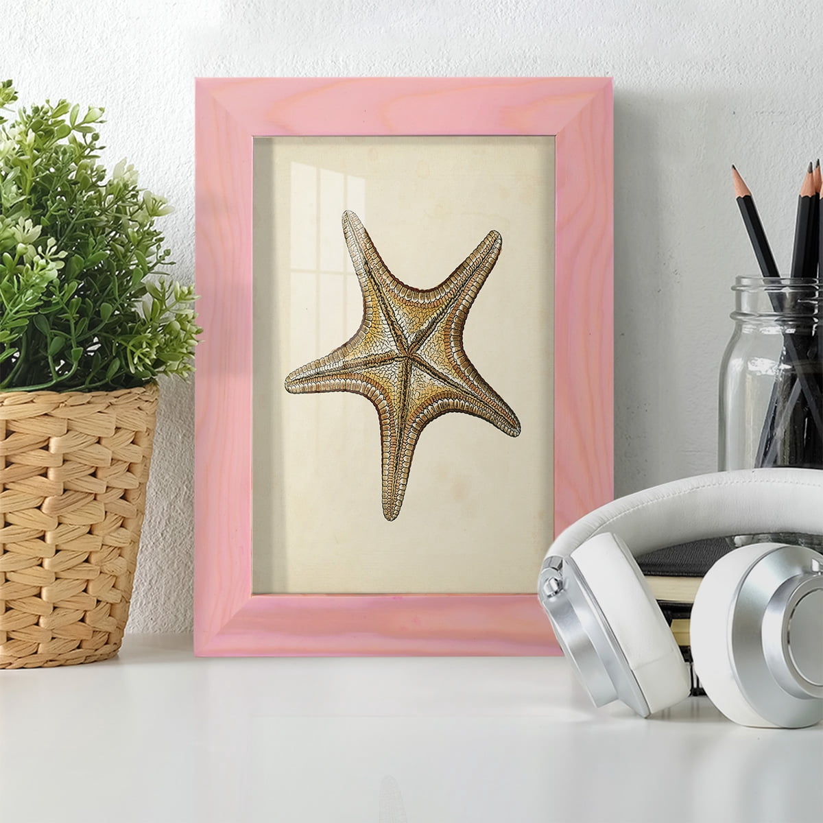 Sealife Collection IV - Framed Print w/glass - Sunset Pink