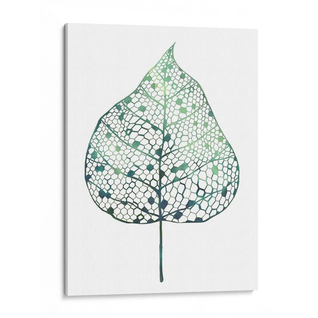 Cuadro decorativo - Hoja Velada I, Grace Popp 30x40 Canvas Lab Botánica, Naturaleza