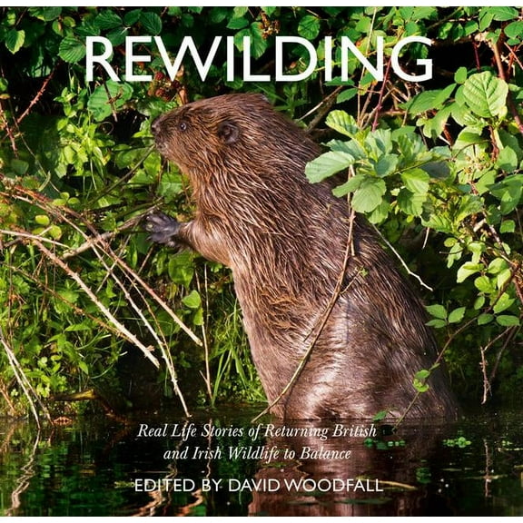 Rewilding: Real Life Stories of Returning British and Irish Wildlife to Balance, (Paperback)