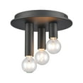 thumbnail image 4 of Elk Lighting Pepper Matte Black Finish 3-Light Flush Mount, 4 of 5