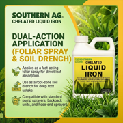 Chelated Liquid Iron - Corrects Yellowing in Plants and Iron Deficiency - 16 fl oz Bottle by Southern AG