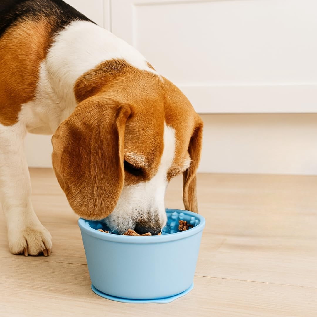 Lunxisen 4 Pcs Slow Feeder Dog Bowl Licking Mat Interactive Mealtime Pet Supplies Puzzle Toy For Pets