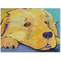 Trademark Fine Art "Baby" Canvas Art by Pat Saunders-White