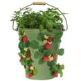 thumbnail image 1 of Enameled Galvanized Strawberry & Flower Planter, Sage, 1 of 1