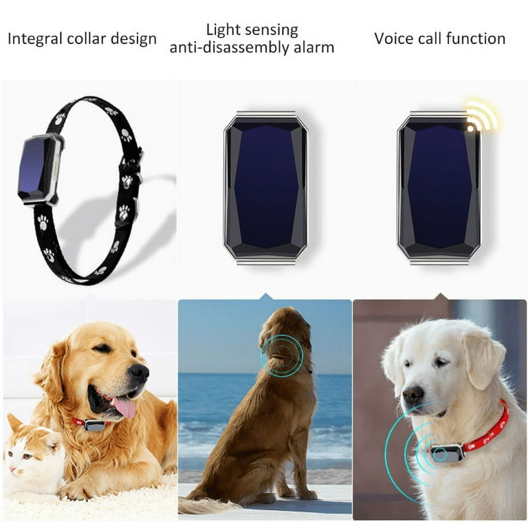 Wisdom Pet GPS Tracker No Monthly Fee Real Time Tracking Collar