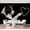 Color 4, variant on Wall Mural Peel and Stick Dog heart shape Self-Adhesive Wallpaper Removable Wall Decal Wall Sticker Home Decor for Living Room Bedroom 69"x96"