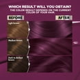 thumbnail image 6 of Garnier Nutrisse Ultra Nourishing Unisex Hair Color Highlights Creme, V2 Dark Intense Violet, 1 Kit, 6 of 11