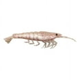 thumbnail image 2 of Bait Shifter Shrimp - 5 Pack - Ice - 1/8 oz, 2 of 6
