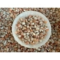 thumbnail image 3 of WHOLESALE Natural Semi Tumbled Sunstone Gemstone Chips, Crushed Mini Crystals, Undrilled (Sunstone, 0.5 Pound), 3 of 4