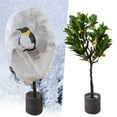 thumbnail image 1 of RXIRUCGD Warm Cover Tree Shrub Plant Protecting Bag Frost Protection Yard Garden Winter, 1 of 8