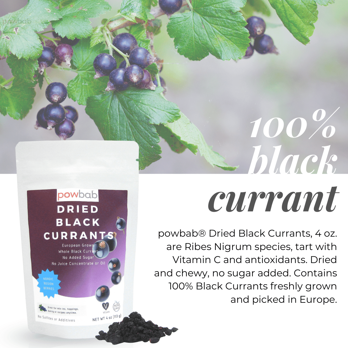 powbab Dried Black Currants - 100% Ribes Nigrum Berries, Unsweetened (4 oz)