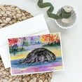 thumbnail image 2 of Newfoundland Greeting Cards and Envelopes Pack of 8, 2 of 3