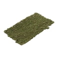 thumbnail image 1 of Milaget Modèle de Gazon Statique 3mm en Grappe pour Chemin de Fer Architectural Type C, 1 of 9
