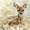 thumbnail image 2 of Robinson, Carol 20x20 Black Ornate Wood Framed with Double Matting Museum Art Print Titled - Fawn In Spring, 2 of 4