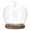 As Shown, variant on Gymnture Glass Dome Cover with Wood Base Apples Shaped Cloche for Home Decor