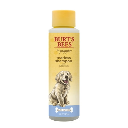 Burt's Bees Tearless Shampoo for Puppies, 16 oz. (Best Puppy Shampoo And Conditioner)