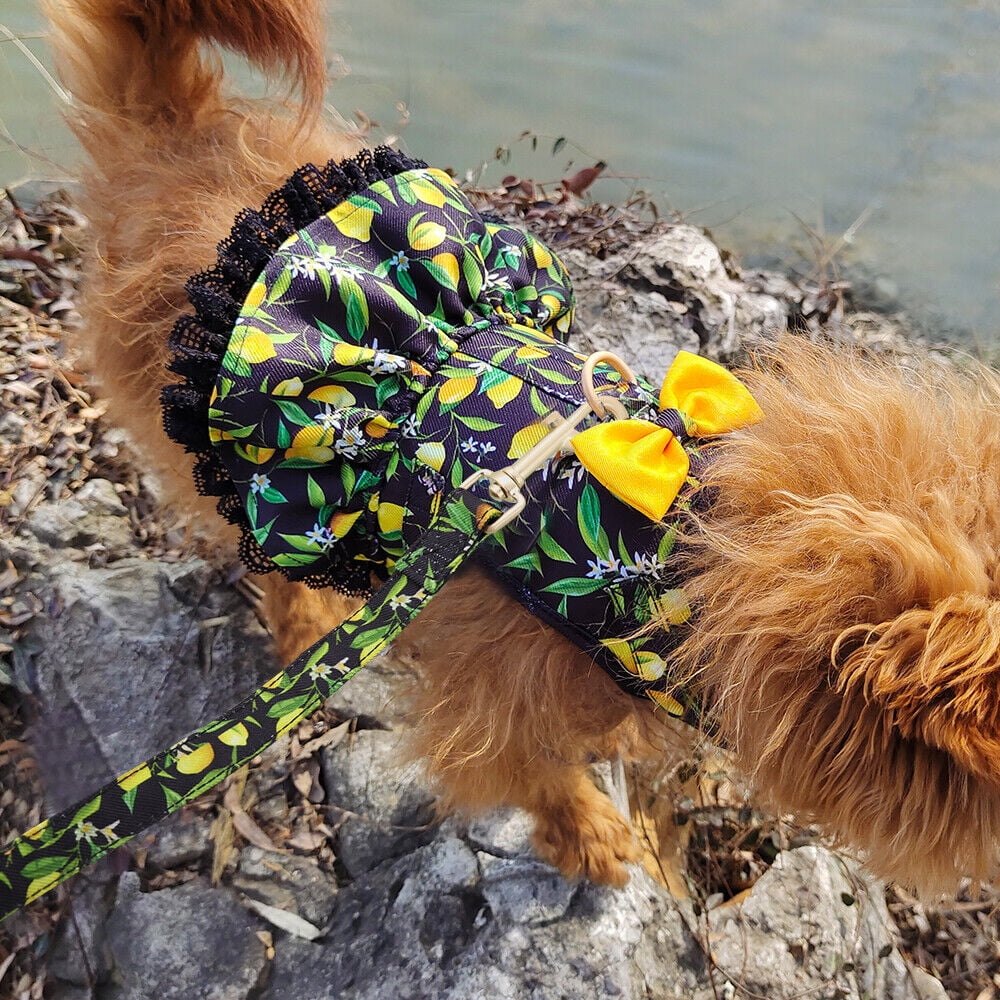 Didog Female Dog Harness Dress and Leash Fancy Small Pet Cat Summer Vest Clothes Yorkie