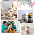thumbnail image 5 of Eternal Glass Dome Cloche 4.8×7.5" Clear Cloche Bell Jar Terrarium Bird Top Glass Display Dome Cover with Wood Base for Fairy Lights DIY Preserved Flower Gift Decorations Crafts, 5 of 5