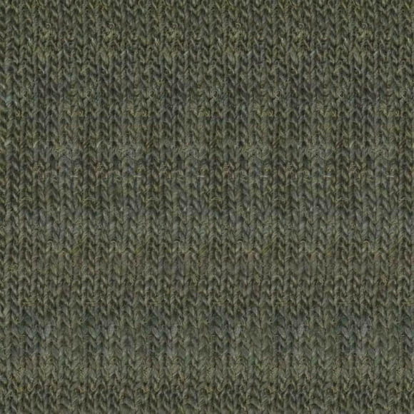 Noro - Fil Solo de Jardin en Soie, 50 g / 1,75 oz (50 - Feuille de Laurier)
