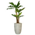 thumbnail image 1 of Vintage Home Artificial Faux Real Touch 5.67 Feet Tall Banana Tree With Burlap Kit And Fiberstone Planter, 1 of 3
