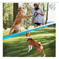thumbnail image 2 of Correa Para Perro Grande Resistente Fuerte 1.8mts Color Negro, 2 of 4