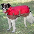 thumbnail image 2 of Large (19-24" Neck to Tail) Fashion Pet Outdoor Dog Horse Blanket Dog Coat, 2 of 2