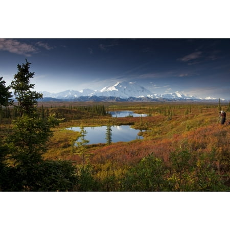 Male Hiker Photographs Mt Mckinley In The Morning Near Two Kettle Ponds In The Fall Tundra In Denali National Park Near The Wonder Lake Campground Interior Alaska Fall Stretched Canvas - Lynn