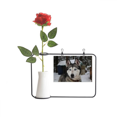 thumbnail image 1 of Perro animal nieve Husky fotografia Botella de decoración de jarrones colgantes de flores rosas artificiales, 1 of 3