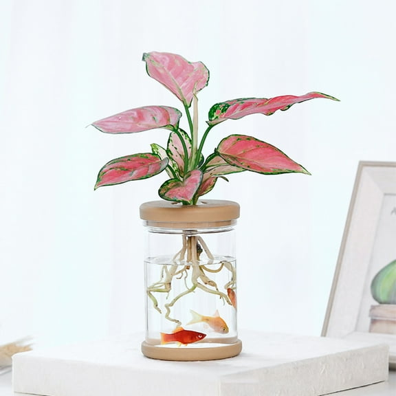 Transparent Hydroponic Plant Pot | Plastic Self-Watering Flower Pot with Goldfish Capability | Indoor Desktop Planter for Green Plants | 11x8.5x8.5cm Clear Container