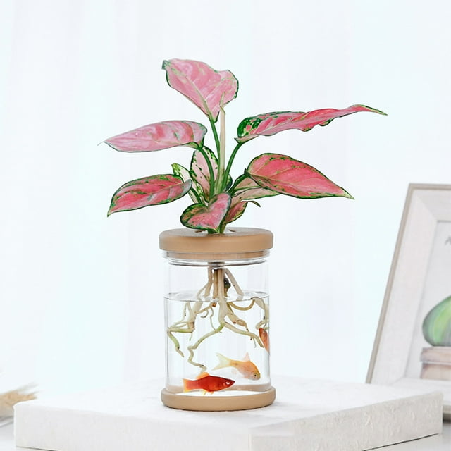 Pot de Fleurs en Plastique Hydroponique Transparent / Petit Conteneur de Plantes de Bureau Transparent pour Salon Intérieur / Design Réservoir d'Eau / Poisson Rouge Adapté / 11x8.5x8.5cm / 1 Pack