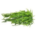 thumbnail image 4 of 2pcs Artificial Leaves Garland Simulation Plant Vine Home Office Wall Hanging Plastic Rattan, 4 of 8