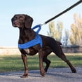 thumbnail image 2 of MASBRILL Reflective Dog Harness No Pull No Choking with Handle, Breathable Mesh Padded Dog Chest Adjustable Dog Harness Blue, 2 of 7