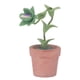 thumbnail image 2 of Planta En Miniatura, Simulación Multiusos Planta De Casa De Muñecas Resistente Al Desgaste Ligero Lindo Para Decoración De Casa De Muñecas 1/12, 2 of 7