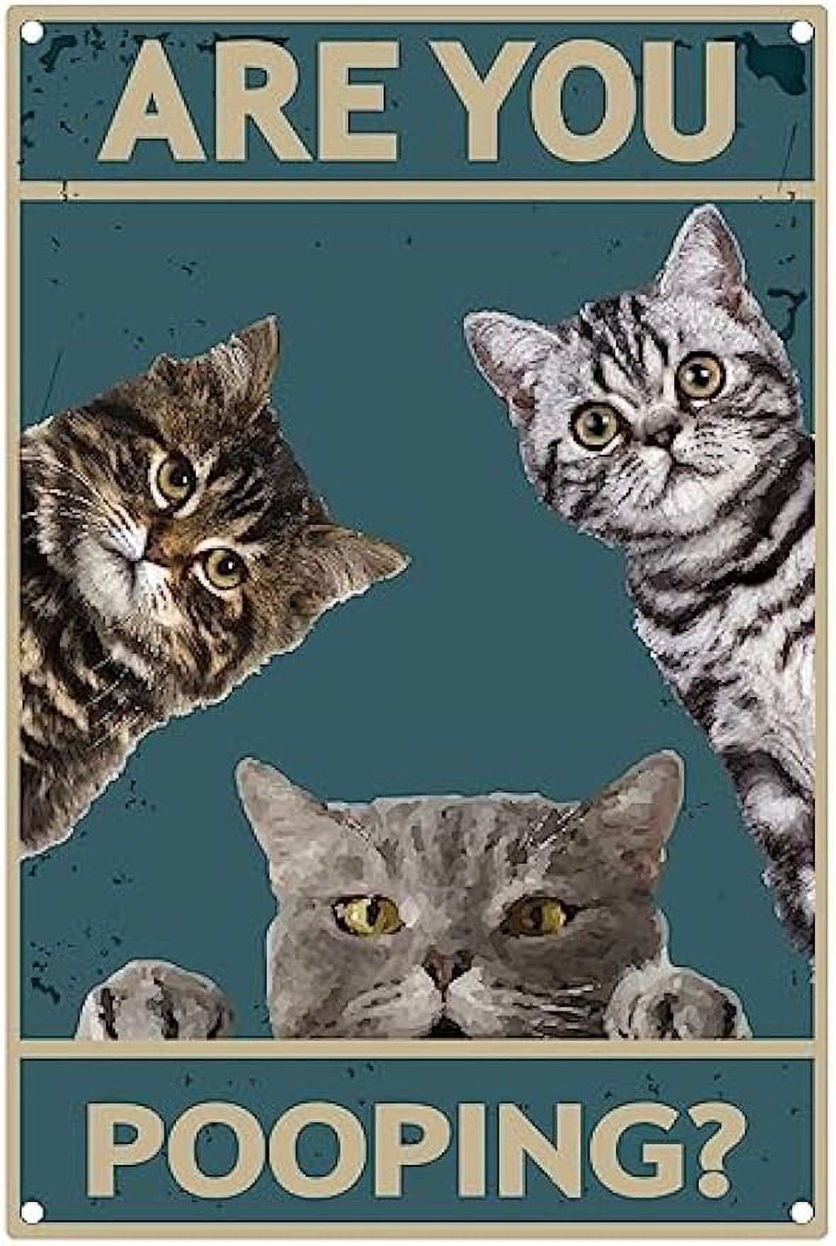 Plaque Métal Chat Noir Drôle - Déco Buanderie "Drop Your Pants Here" 30x20cm