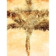 thumbnail image 3 of Nall, Skip 15x18 Black Modern Framed Museum Art Print Titled - Palms on Brown IV, 3 of 5