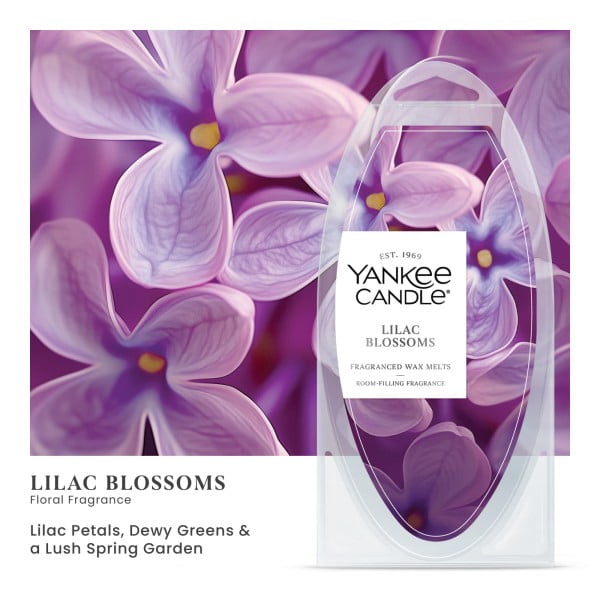 Yankee Candle Lilac Blossoms Fragranced Wax Melts, 6 Wax Spheres per Package, Pack of 6 (36 Cubes Total)
